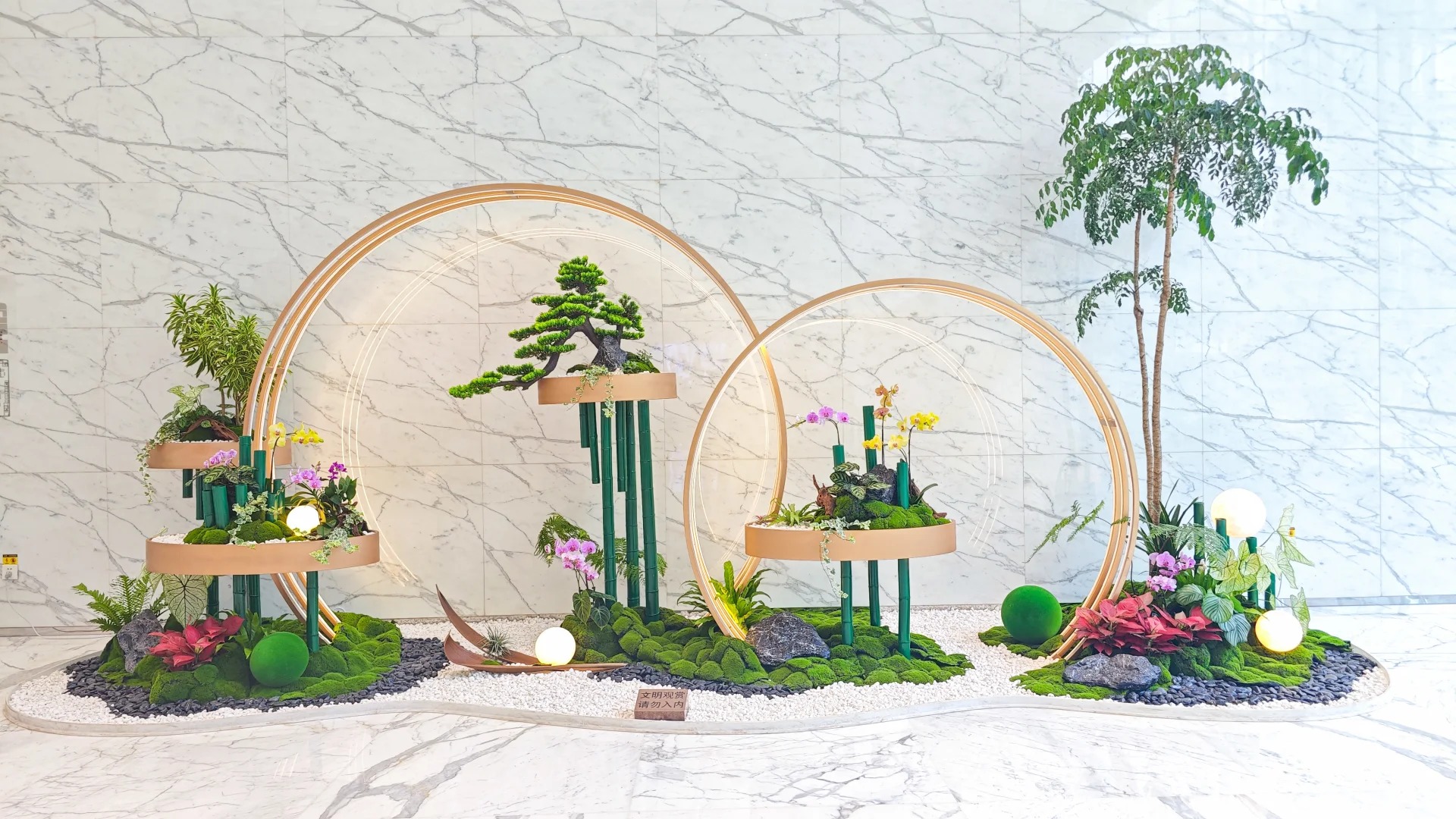 专业绿植租赁，宁波余姚的绿色空间定制专家